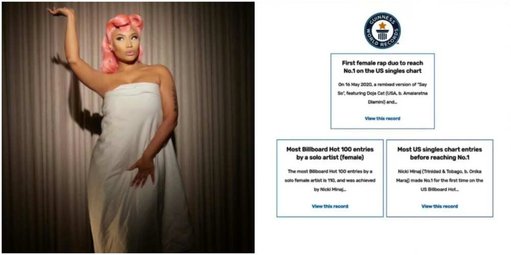 Nicki Minaj - Nicki - Image 5 from Spotted: Celebrity It Bags