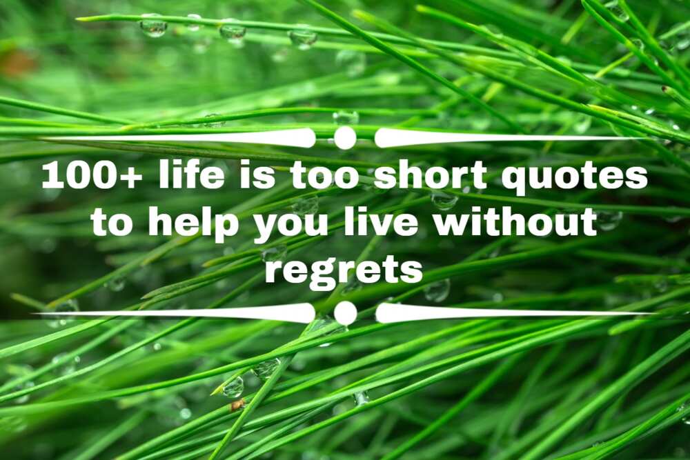 Life is precious quotes
