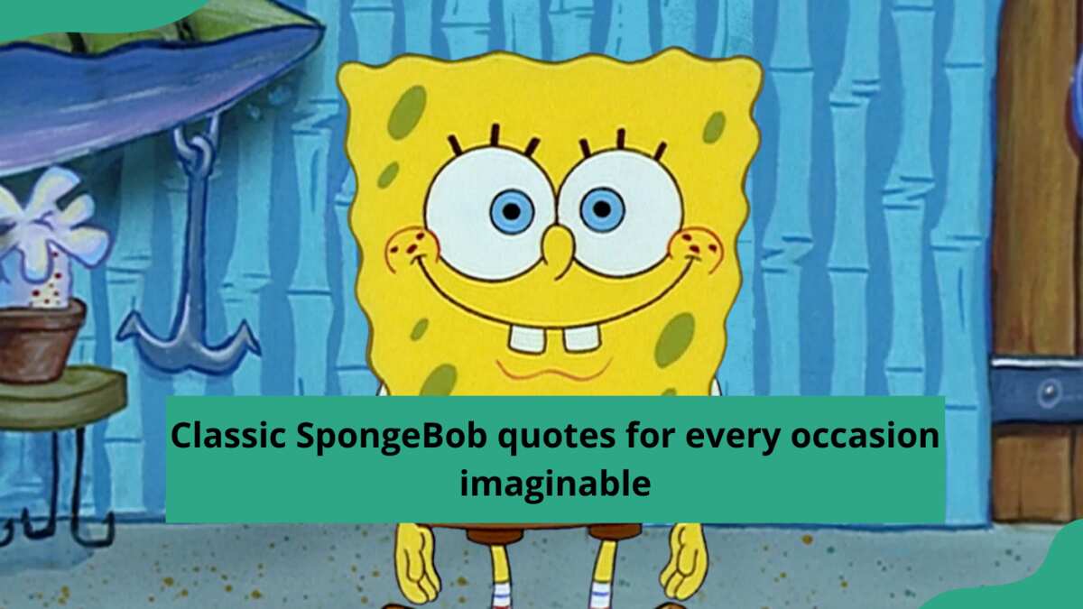 Pin on Spongebob quotes