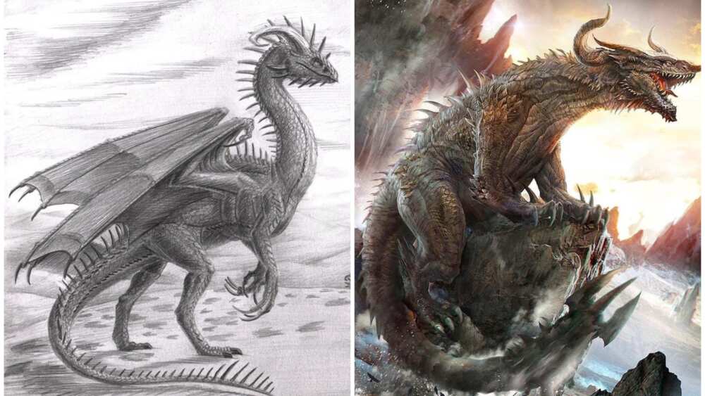 Different types of dragons from mythology and popular culture