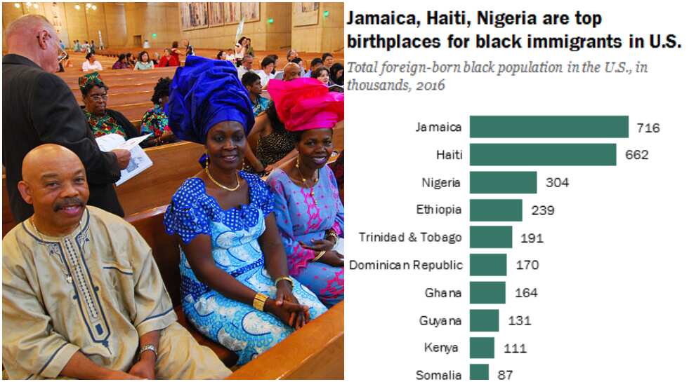 10-us-states-that-have-the-highest-population-of-nigerians-legit-ng