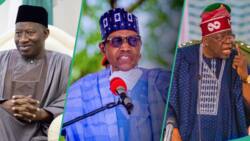 From Obasanjo to Tinubu: List of dollar to naira exchange rates under 5 Nigerian presidents
