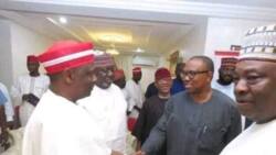 2023: APC to face strong opposition as Peter Obi and Kwankwaso plan 'strong merger'