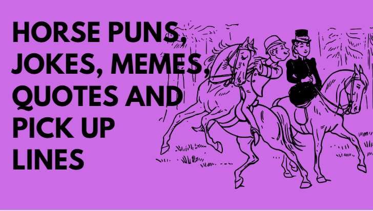 horse puns