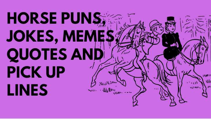 funny horse jokes for adults