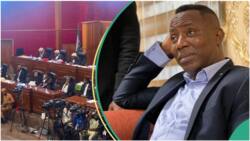 "Why court freed Omoyele Sowore": Lawyer gives legal breakdown