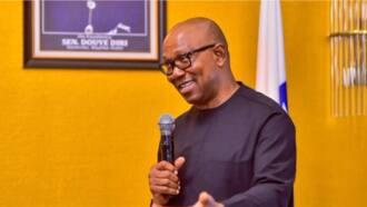 Peter Obi says he can govern Nigeria without Labour Party having majority in NASS