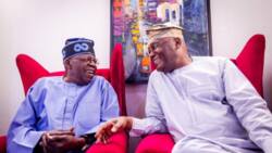 Sayen kuri'u: An kori wata karar da ministan Buhari ya shigar kan Tinubu da Atiku