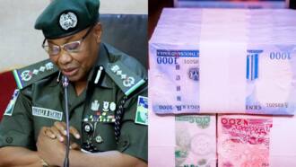 IGP Alkali orders arrest, prosecution of persons selling new naira notes