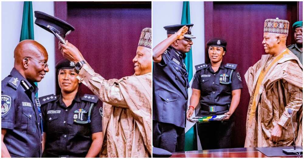 Acting IGP decorated/ Egbetokun decorated as acting IGP/ Shettima decorates Egbetokun