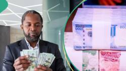 Naira rises over 100 basis points against dollar as CBN announces changes to savings account