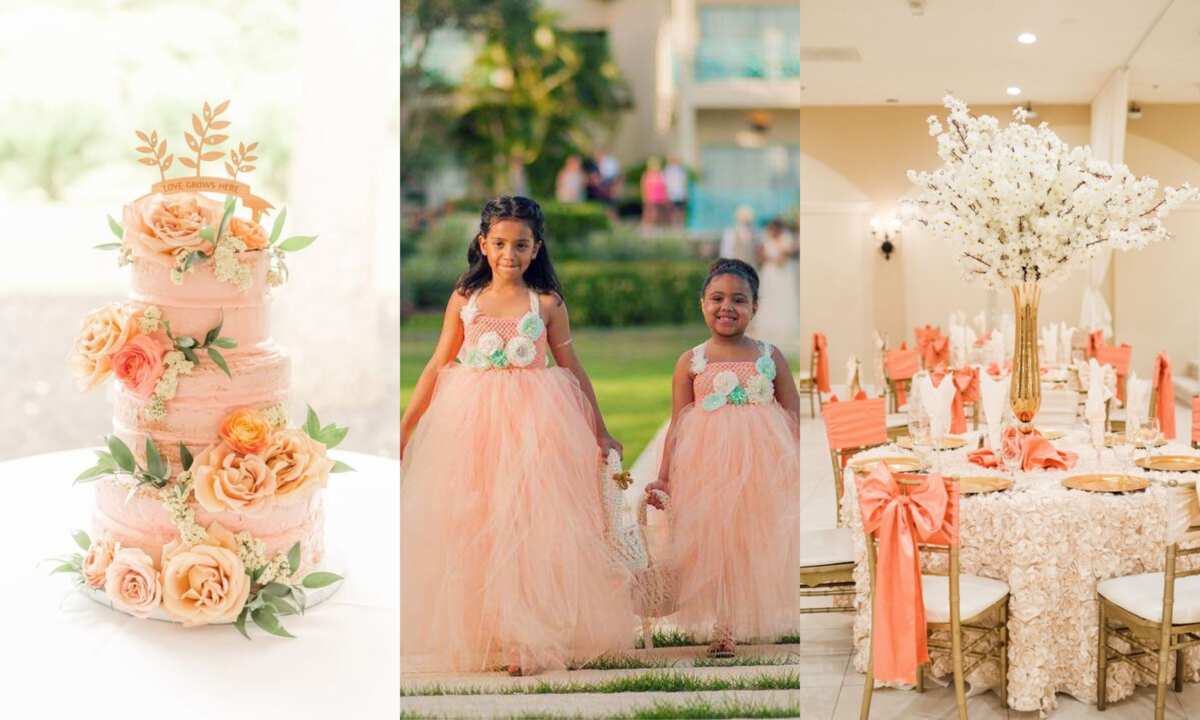 Elegant peach color Dress - Kanha Collection