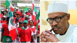 Buhari Na Tsaka Mai Wuya, Ƙungiyar Kwadugu Ta Yi Barazanar Shiga Yajin Aiki Kan Abu 2