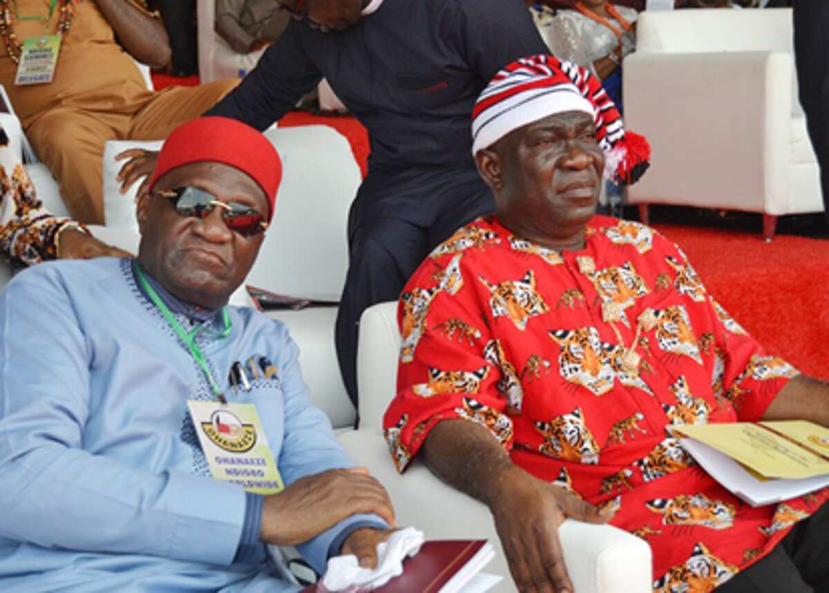 2023: Ohanaeze begins plot to meet with top monarchs to support Igbo Presidency