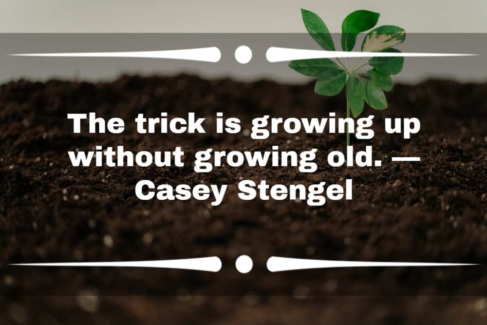 Quotes about growing up