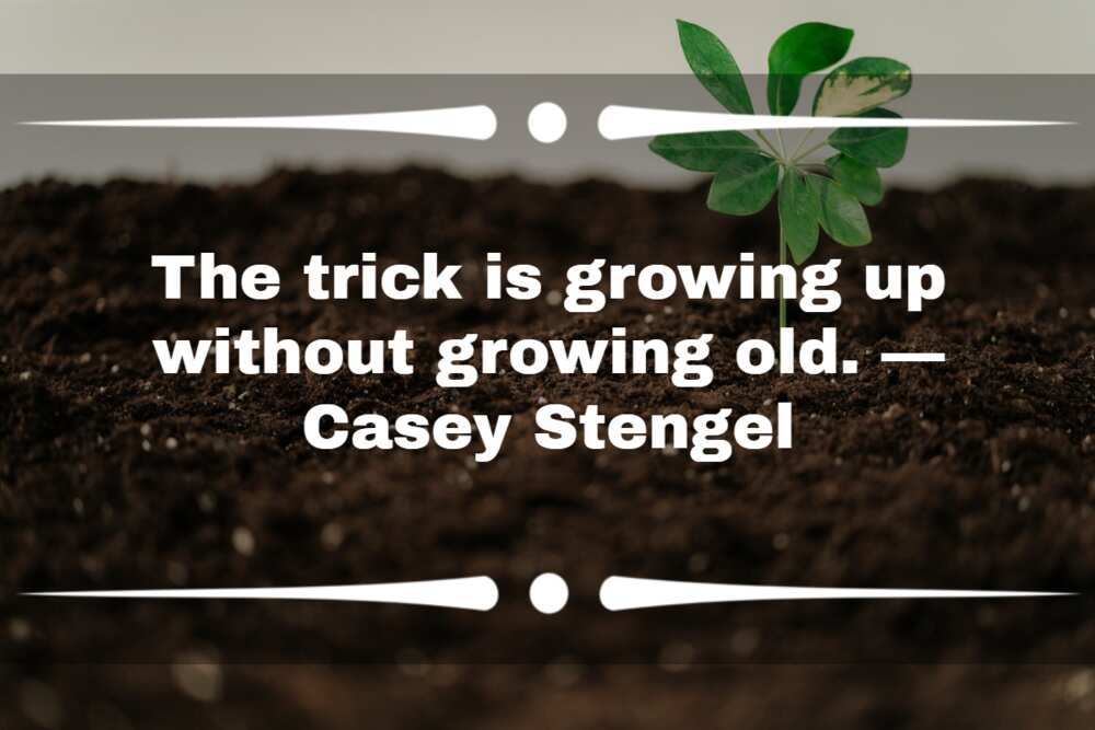 Quotes about growing up Quotes about growing up