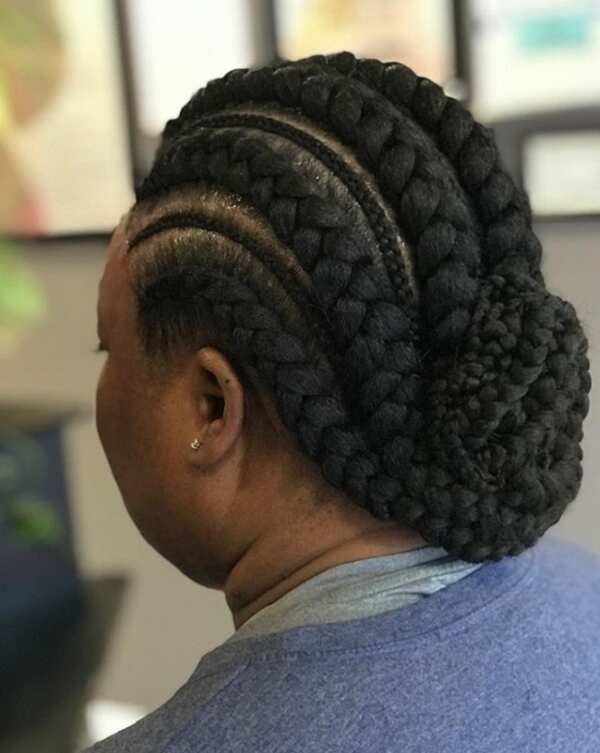 50+ latest feed in braids styles of 2024: best ideas to try 