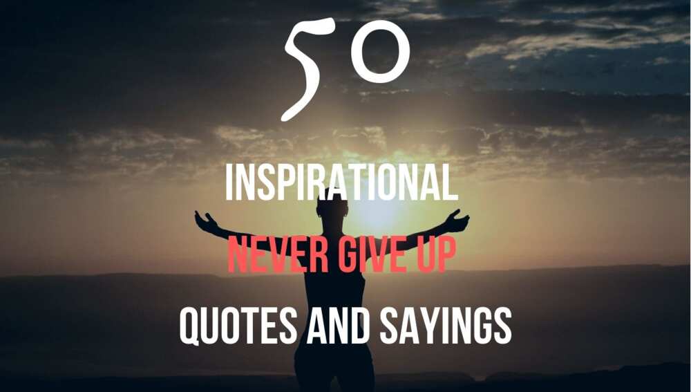 Never give up quotes