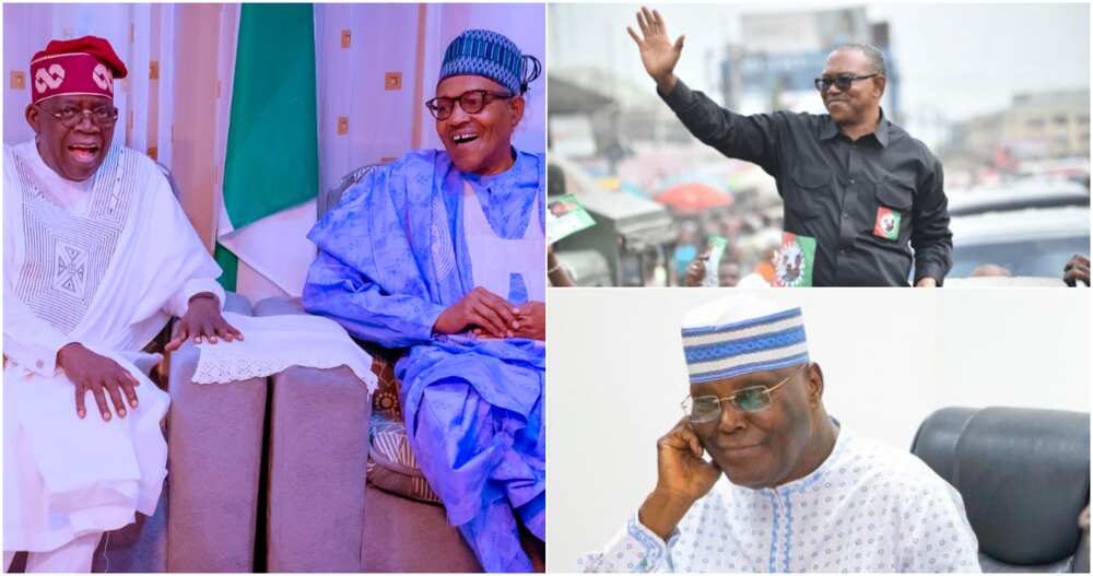 Peter Obi/Muhammadu Buhari/Atiku Abubakar/Peter Obi/PDP/APC/2023 Election/Southeast