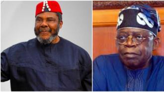 2023: Pete Edochie weighs in on Tinubu's presidential ambition, says Nigeria needs someone younger & healthier
