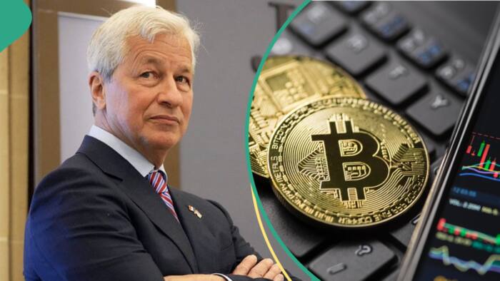 JP Morgan CEO renews criticism, calls Bitcoin a 'fraud' and 'Ponzi scheme'