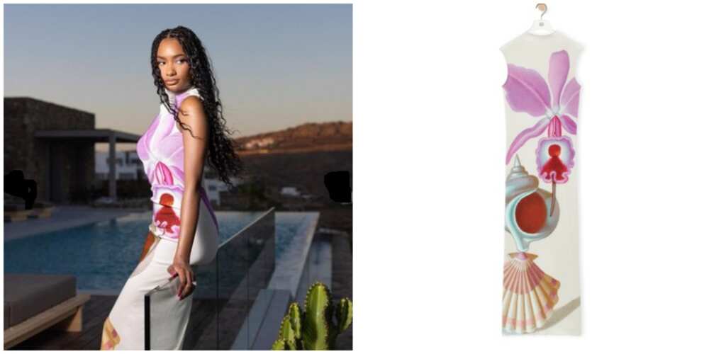 Photos of Temi Otedola and the dress