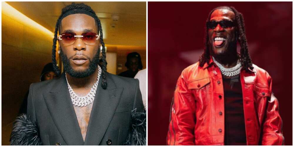 Burna and fan