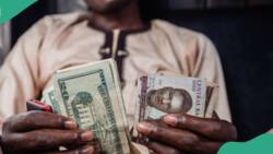 Naira closes at N869.39/$1 in official market, falls further in black market