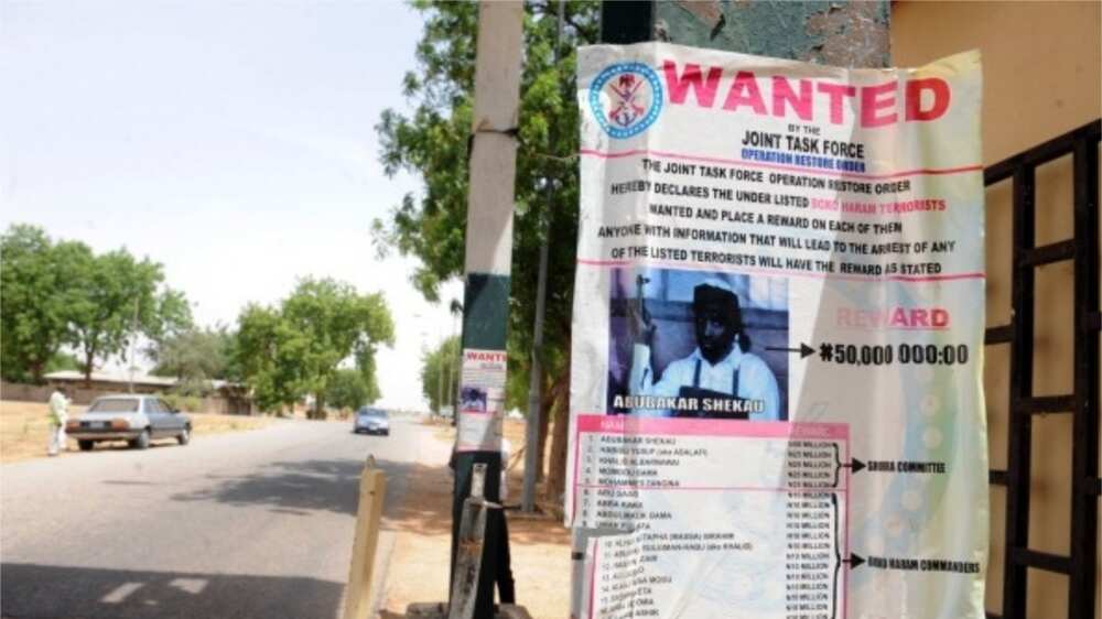 Abubakar Shekau: Maiduguri Residents Rejoice over Reported Death of Boko Haram Leader