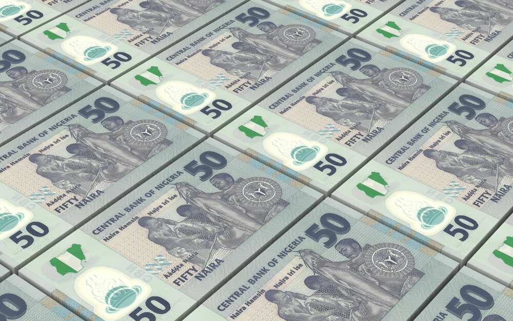 Nigerian currency notes and coins Nigerian currency notes and coins