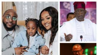 Beryl TV 4b00f74bd568861d Davido’s Son’s Death: “OBO Has Questions To Answer”, Popular Lawyer Gives Legal Perspectives 