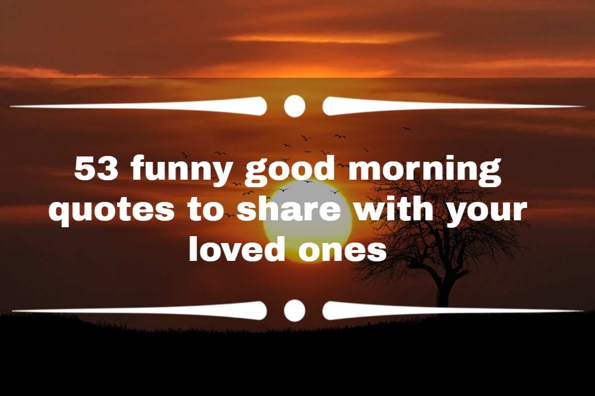53 funny good morning quotes to share with your loved ones 
