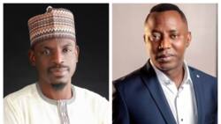 Former Buhari’s aide, Nigerians, lambast Sowore over comment on ASUU strike