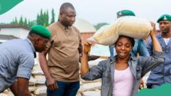 “NIN is required”: Good news as customs begin another round of distribution of seized rice nationwide