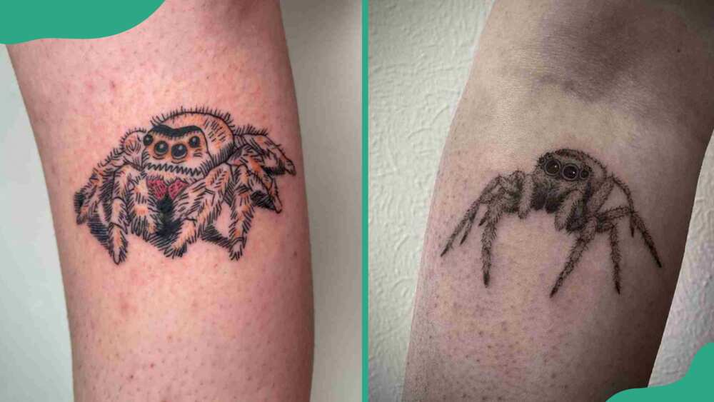 Jumping spider tattoos