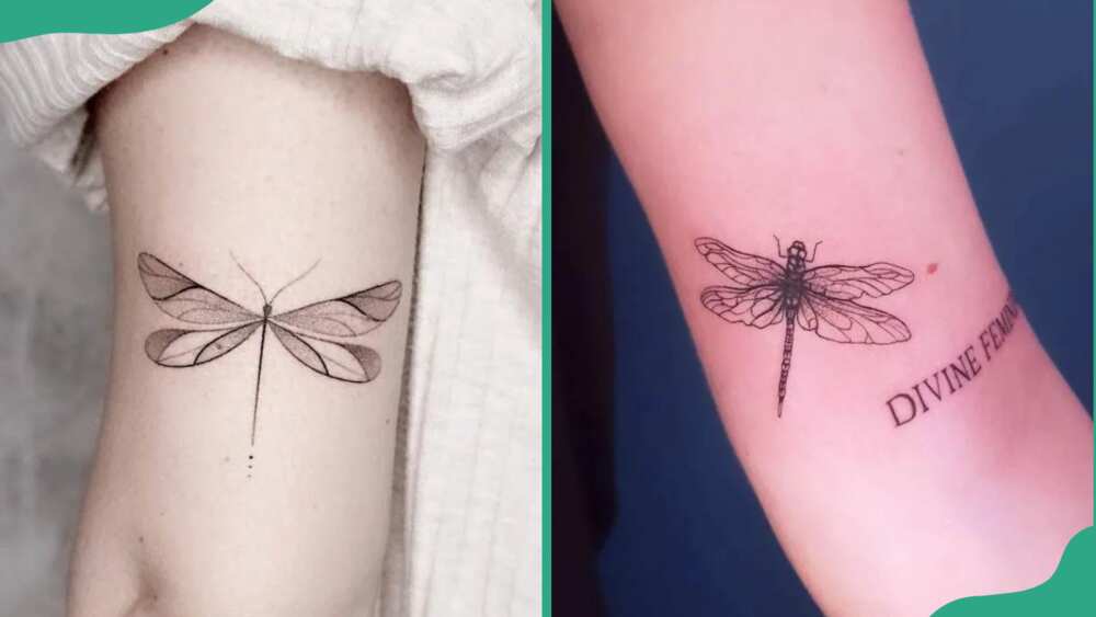 Simple dragonfly tattoo
