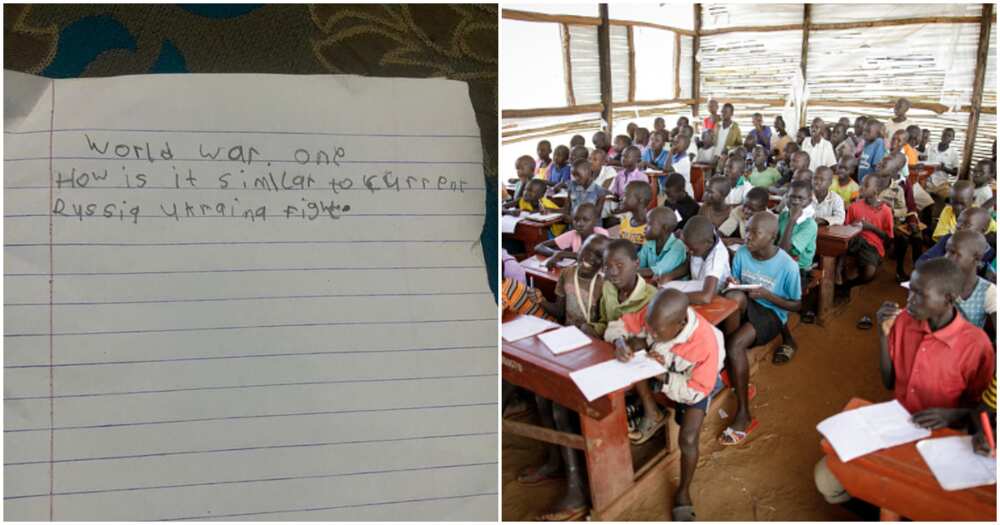 Reactions as Nigerian lady shares the 'hard' homework on Russia a pry 3 pupil was given, stirs reactions