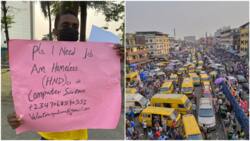 He should do business: Reactions as frustrated Nigerian man hits Lagos street with placard, begs for job