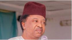 Atiku, Tinubu or Obi: “Don’t vote candidate because Mosque, Church asked you to,” ex-lawmaker tells Nigerians
