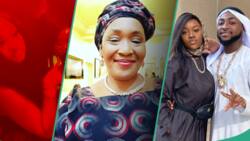 "Dumped the twins with nannies again": Kemi Olunloyo criticizes Davido and wife's outing in Nigeria
