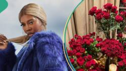 "Thank u whoever did this": Tiwa Savage meets her house fully decorated with roses on Val's Day