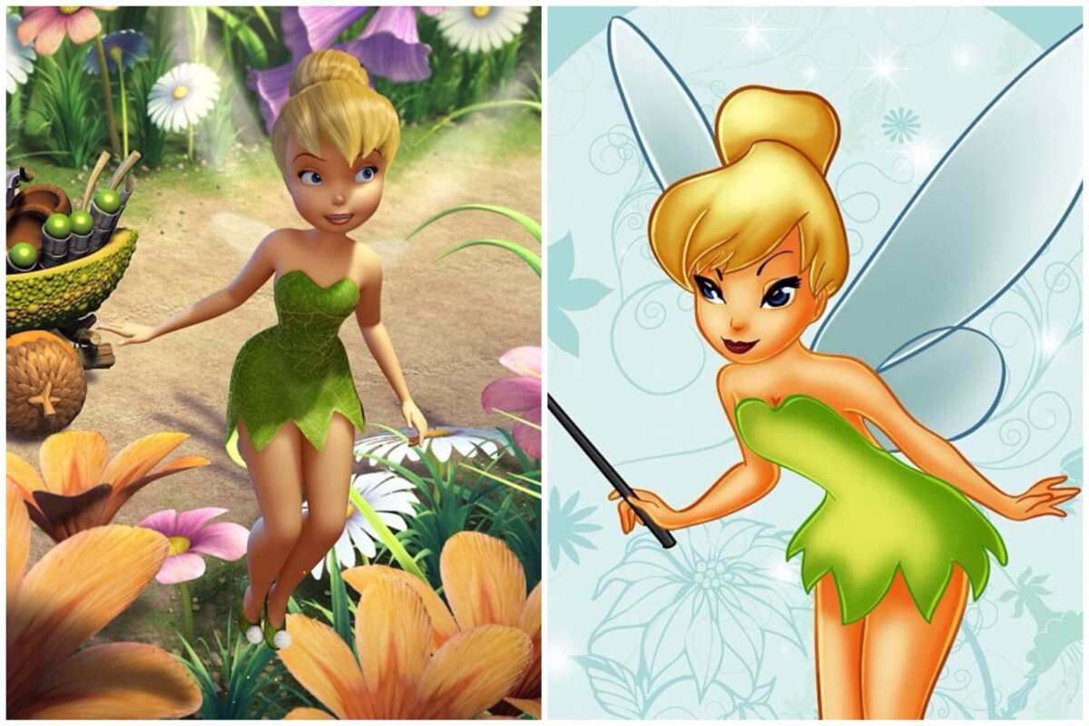 Tinker Bell and the Great Fairy Rescue (Video 2010) - IMDb