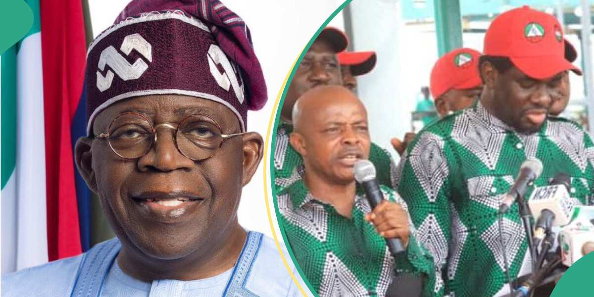 “Waste of Time”: Tension as Nigerian workers reject Tinubu’s 35% pay rise