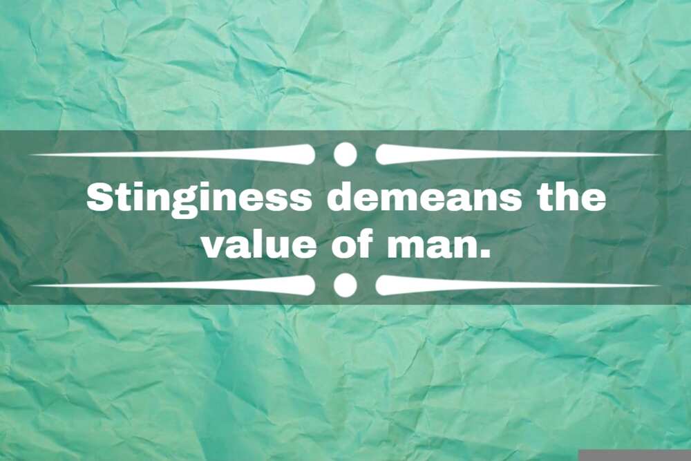 funny quotes about stingy boyfriends funny quotes about stingy boyfriends