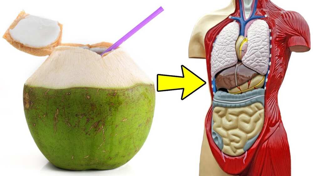 Coconut water for body