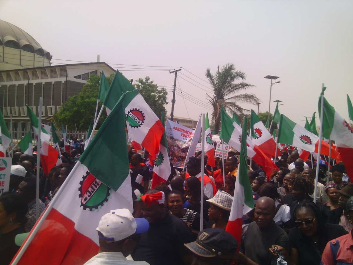 NLC to Imo PDP: Don't drag labour unions into local politics