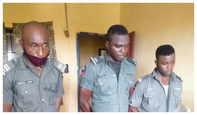 Payback Time as Police in Ogun Sack High-ranking Officers for Extortion, Releases Names, Photos