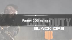 360+ funny COD names for your character in multiplayer
