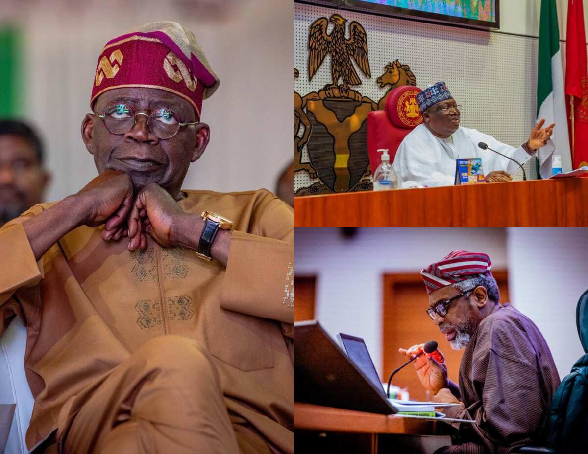 President Tinubu Sends Lawan, Gbajabiamila On Fresh Assignment - Legit.ng