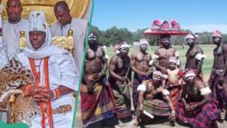 "Igbos are the first race to discover prosperity and wealth": Ooni of Ife claims, Yorubas react